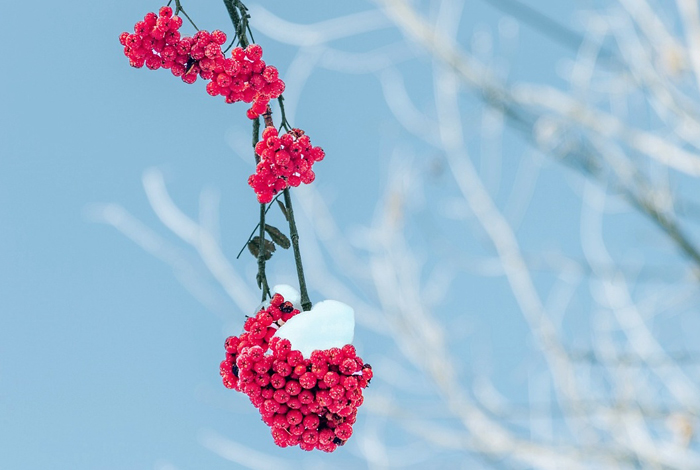 【萊沃醫(yī)療：知識分享】今日小雪，快“藏”好這份健康秘籍！